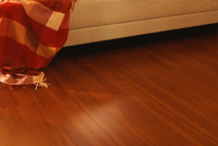 floor-f2.gif