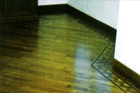 floor-f7.gif